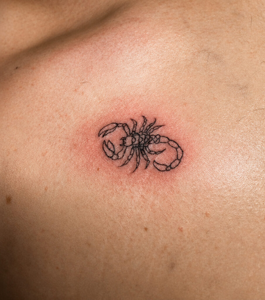 fine line scorpion tattoo dallas texas