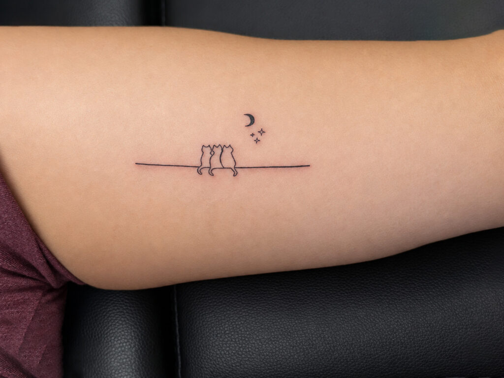 cat tattoo fine line